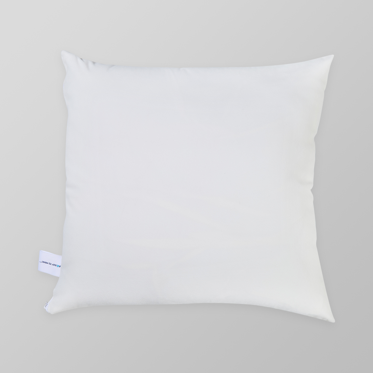 Velvet Cushion