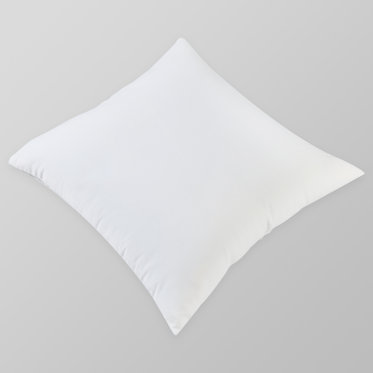 Velvet Cushion